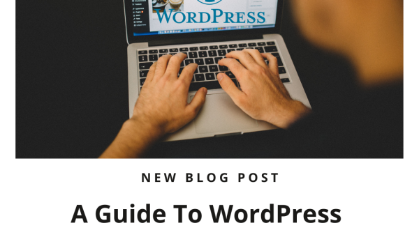 A Guide To WordPress Themes and Licenses